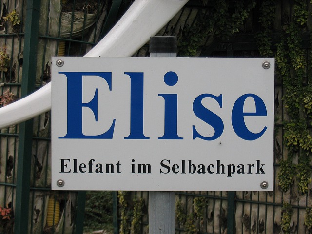 Der Name des Elefanten !