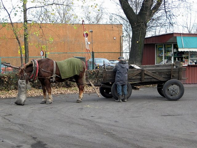 Kohlentransport !