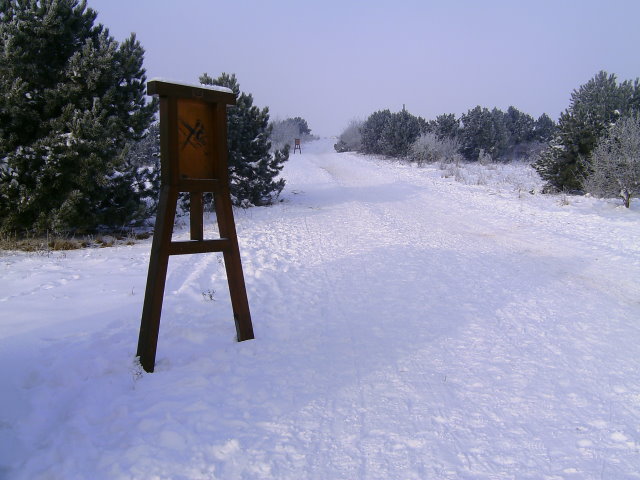 The footpath on the slagheap !